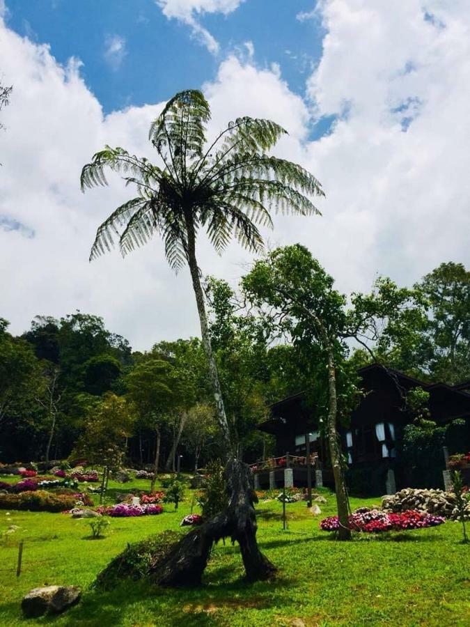Spring Garden Hotel Kampong Kundassan Exterior photo